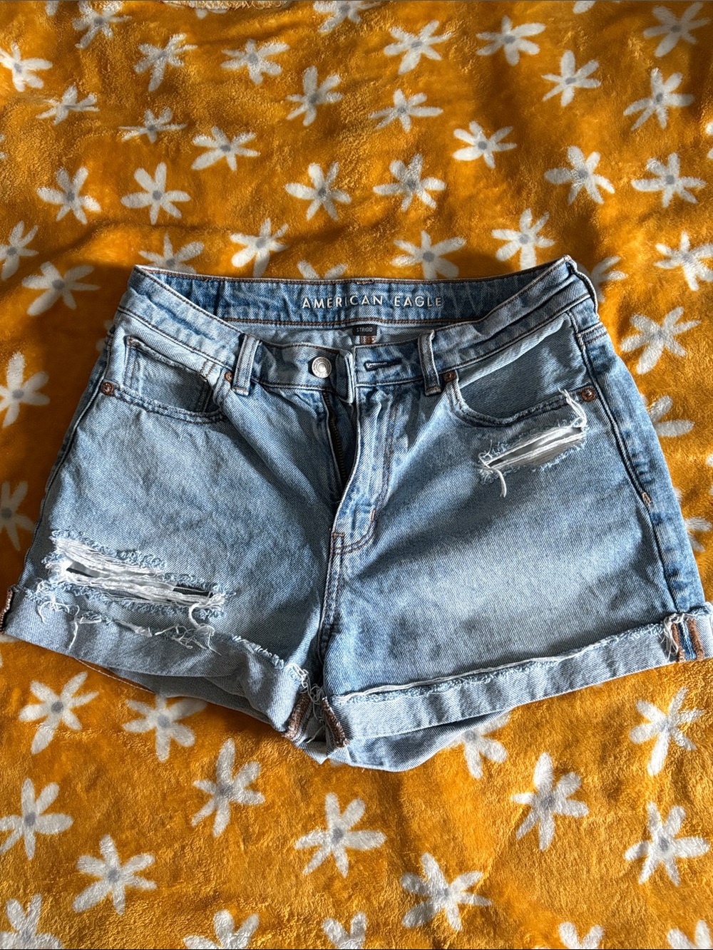 American Eagle Outfitters Light Wash Distressed Denim Shorts